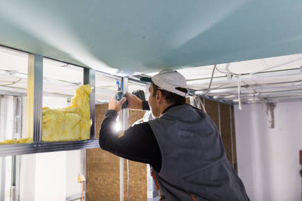Best Insulation Maintenance and Repair in Highland Park, TX